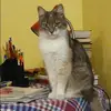 Отзыв от Клавдия Грачева